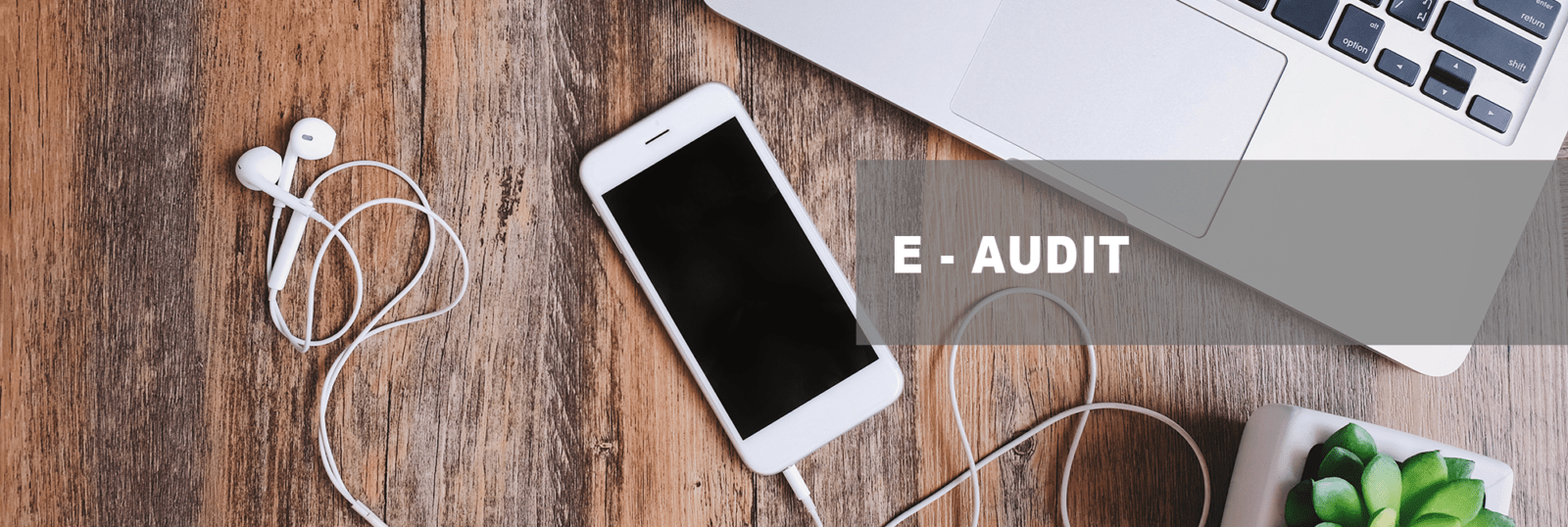 eaudit
