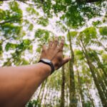 Not-for-Profit Governance & Management Resources